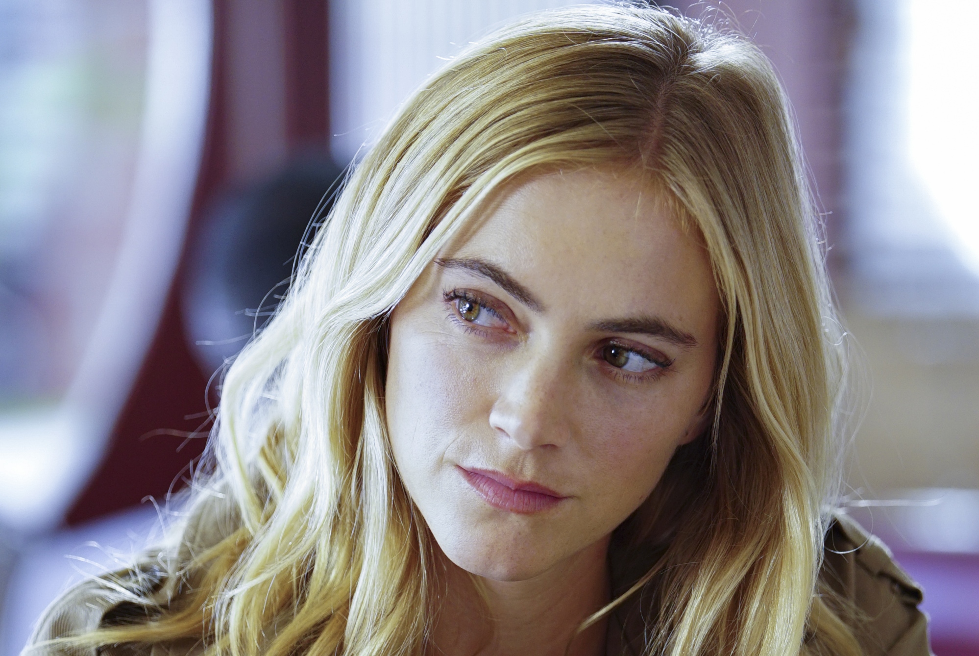 15 Facts about Emily Wickersham Who Plays Agent Ellie 